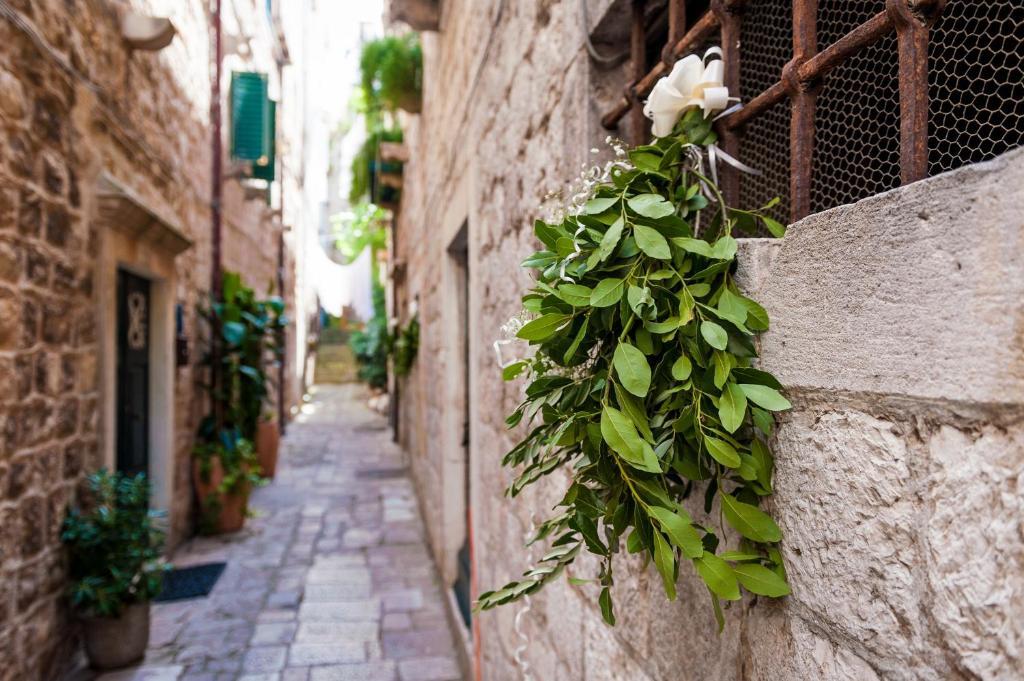 Angelus Apartments Dubrovnik Exterior foto